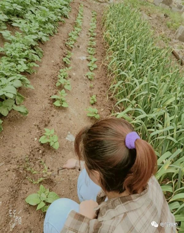 1589459936140944.jpg 微信图片_20200514203554.jpg