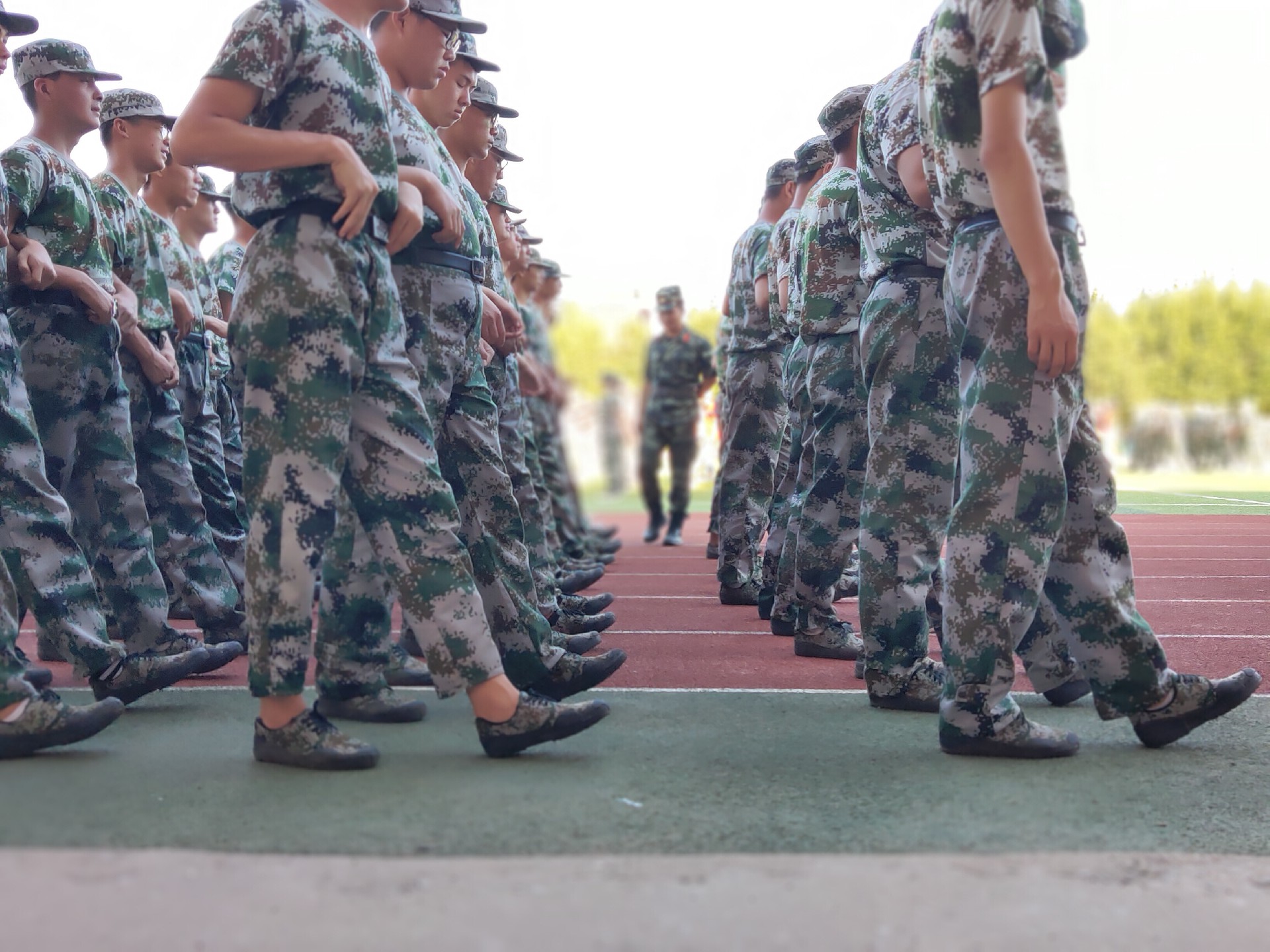 1567864622666728.jpg P90829-155845.jpg